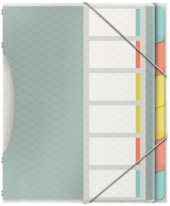 Teczka segregująca 6 przegródek z kolorowymi przekładkami ESSELTE COLOUR-ICE /626255/