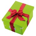 product_25006_image_45520.jpg