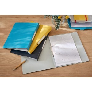 Segregator A4/32/2R 25mm PP LEITZ COSY szary aksamitny /42380089/