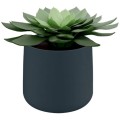 product_24242_image_43612.jpg