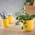 product_24243_image_43453.jpg