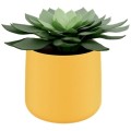product_24243_image_43454.jpg
