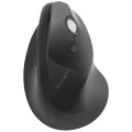 product_24206_image_43264.jpg