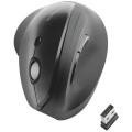product_24206_image_43265.jpg