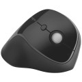 product_24206_image_43267.jpg