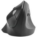 product_24206_image_43268.jpg