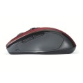 product_24175_image_43132.jpg