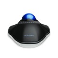 product_24839_image_44942.jpg