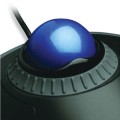 product_24839_image_44944.jpg